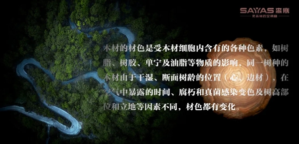 森鹰铝包木门窗：木窗的自然肌理