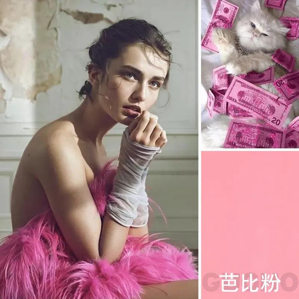 贵朝全屋定制:玩转色彩,你的家可以美成这样!