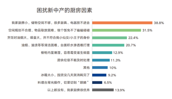 皮阿诺:你距理想厨房,只差一个“超级收纳”的距离