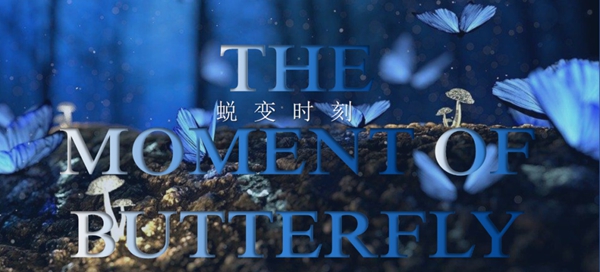 特诺发：信者得爱，蜕变之舞