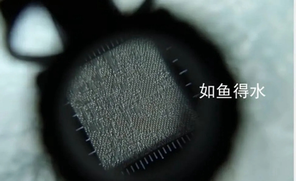 如鱼得水溢彩墙布新品首发，教你4个选购墙布的实用妙招