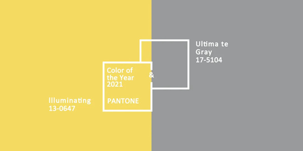 布言布语2021年度代表色“明亮黄”和“极致灰”