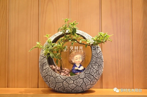 享时光木阳台:有温度的阳台品牌,用品质和服务引领未来 享时光木阳台:有温度的阳台品牌,用品质和服务引领未来