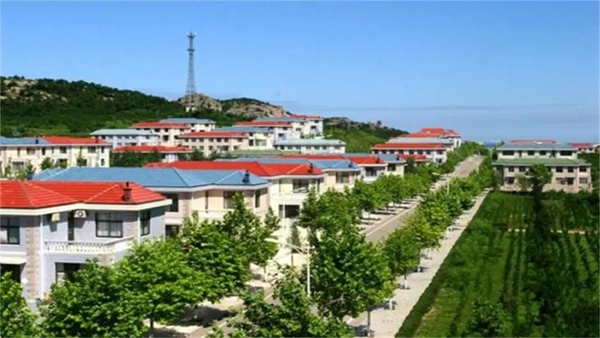 精艺木门：搭上时代的快车做对的事情