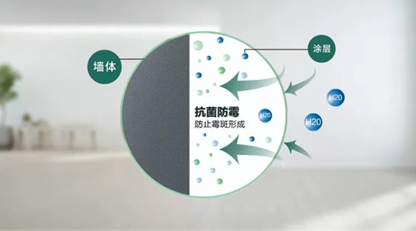 蓝天硅藻泥抗菌涂料抽检抗菌率99.9%