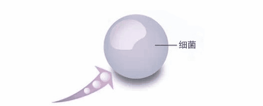创意ESPC+新品：肤感+纯色，藏不住的优雅