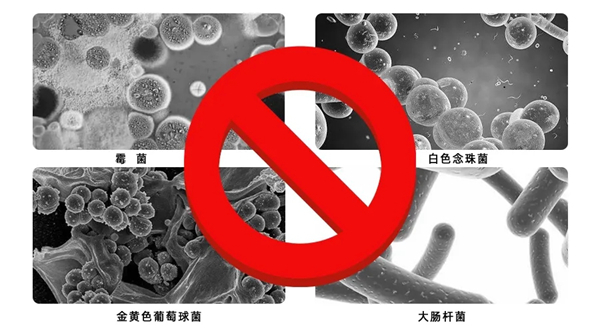 蓝天硅藻泥抗菌涂料抽检抗菌率99.9%