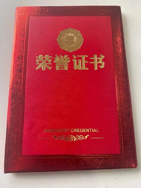 捷报 | 皇家金盾人脸锁荣膺“高力之星”最佳服务品牌奖