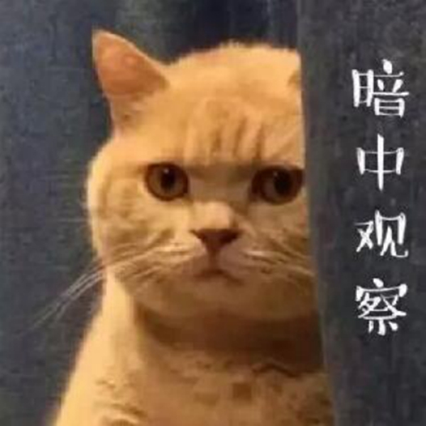 御秀软装学习课堂-第一秘籍“望闻摸擦”功法
