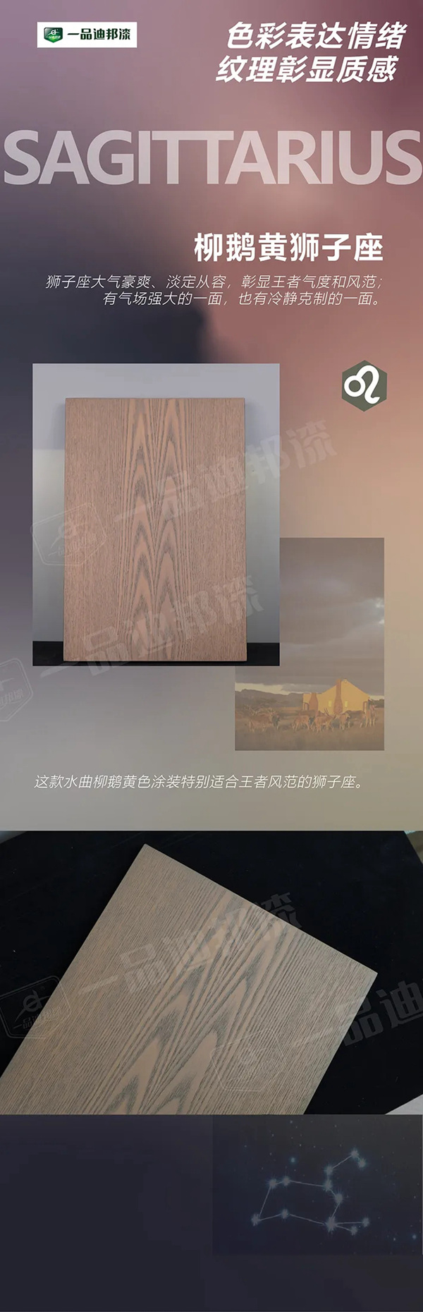  一品迪邦漆十二星座特色涂装（四）