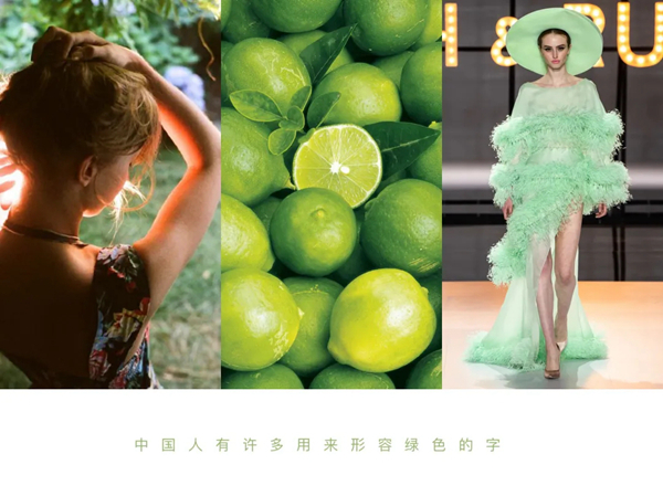 铂顿·卡莎墙布新品：DM版本《卢梭》