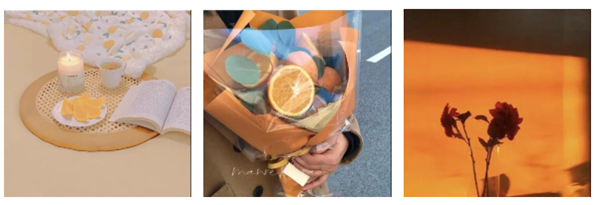 城市素颜：从软装配色开始，轻松打造空间美学的高级感！