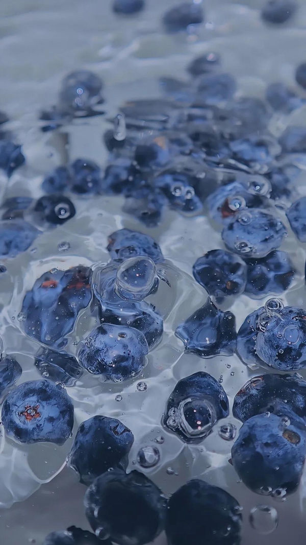舒纳沃恩漆预调色新色——BLUEBERRY蓝莓
