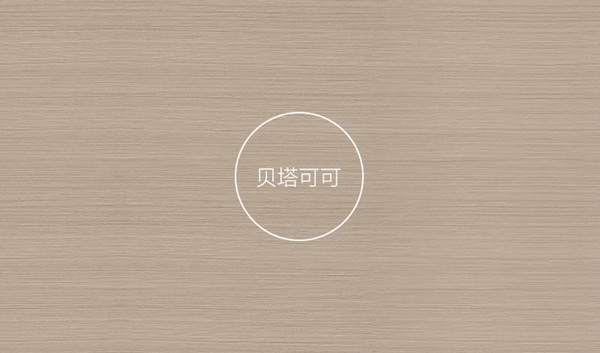 艾瑞卡全屋定制：新色出炉！让你2021颜值爆表