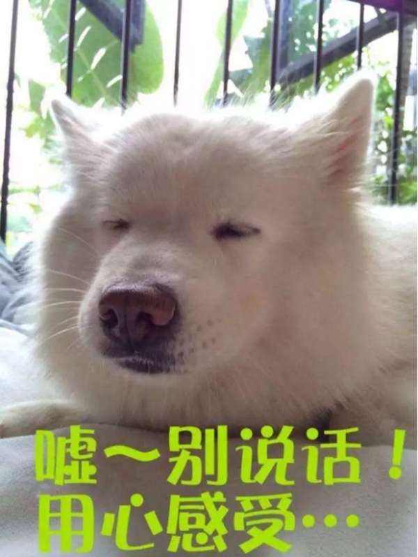 御秀软装学习课堂-第一秘籍“望闻摸擦”功法
