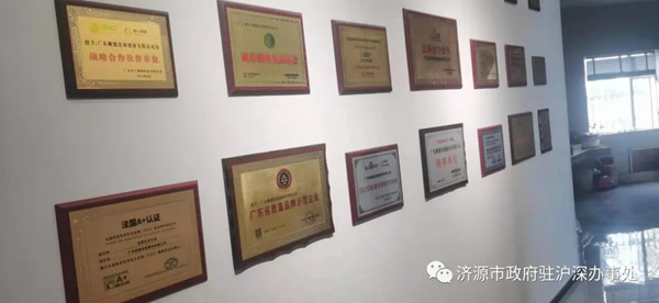 济源市政府驻沪深办事处企业家系列——行稳致远的佛山群英谱