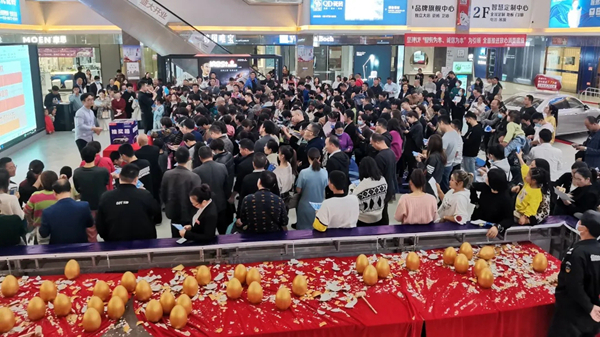 2021铂顿·卡莎墙布“逆势上行 白热收官”！