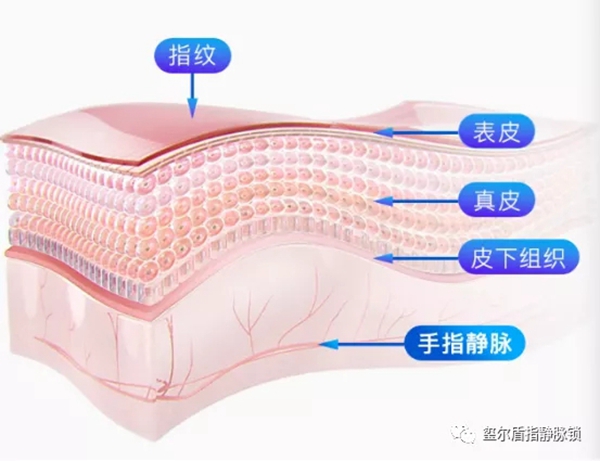 玺尔盾指静脉锁告诉您给老年人购买智能锁需要注意什么