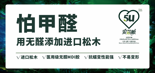 佰怡家全屋家居5U安芯板全面上市