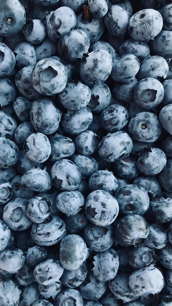 舒纳沃恩漆预调色新色——BLUEBERRY蓝莓