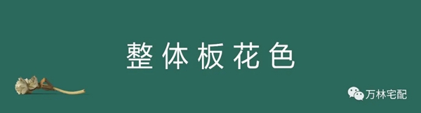 2021万林宅配新品发布--香醇实木整体板篇