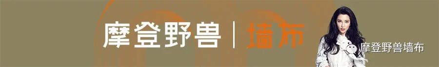 摩登野兽：极度舒适的家装风格