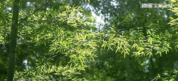 顶固全屋定制将引领一种怎样的生活方式？