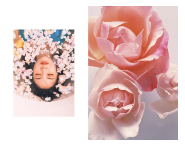 美际软装2021春季新品《倾城》，走进美的体验