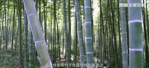 顶固全屋定制将引领一种怎样的生活方式？