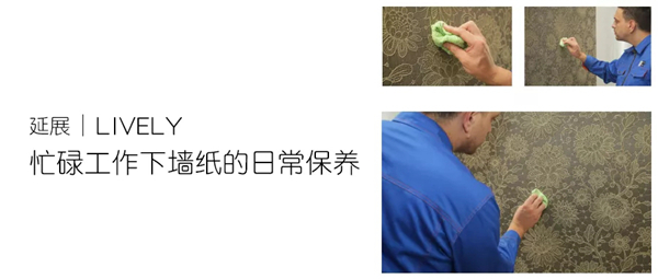 展拜邸:忙碌工作下墙纸的日常保养