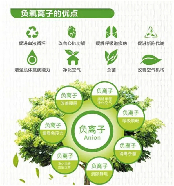 蒂诺一绿色家居再升级 露水河负氧离子净醛抗菌板强势来袭