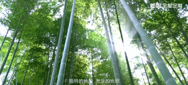 顶固全屋定制将引领一种怎样的生活方式？