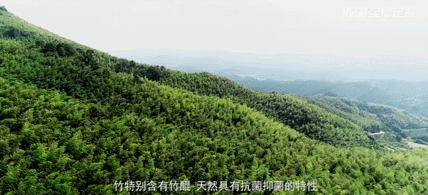 顶固全屋定制将引领一种怎样的生活方式？