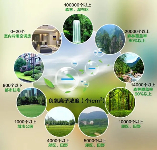 蒂诺一绿色家居再升级 露水河负氧离子净醛抗菌板强势来袭