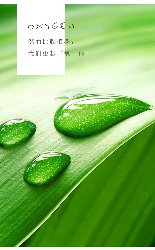 缇绣定制软装：比起植树，我更想“氧”你！