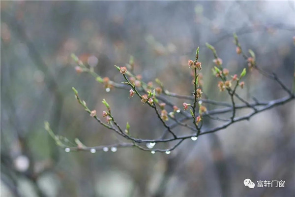 富轩全屋门窗丨春季湿润多雨 正好检验新装的门窗