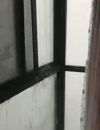老赖不赖门窗丨买门窗一定要小心“低价陷阱”