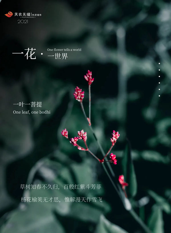 天衣无缝墙布:88平春日美宅,光墙布就够看了