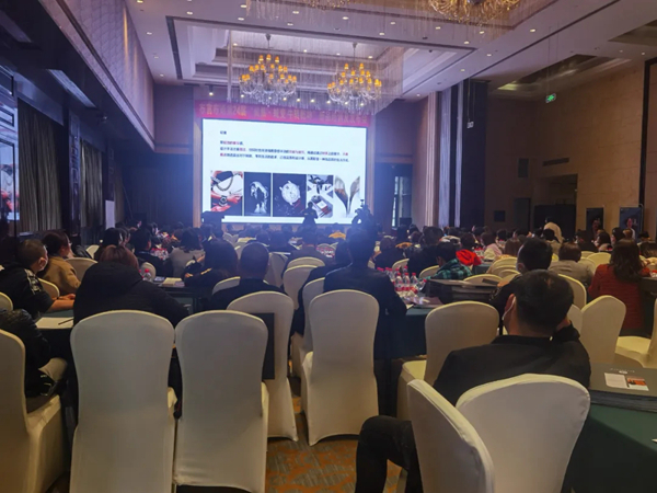 布言布语第二十四届 布言布语第二十四届