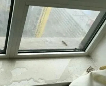 老赖不赖门窗：春季湿润多雨 应该如何防潮？