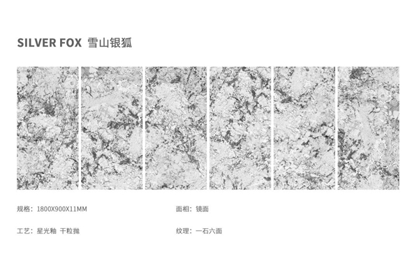 东鹏陶瓷：浩瀚星辰与你相遇