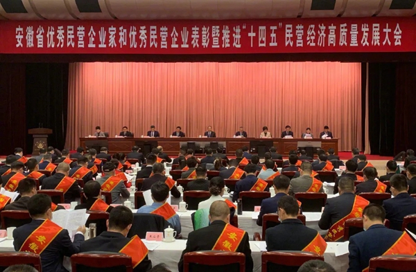 荣事达集团董事长潘保春荣获“安徽省优秀民营企业家”称号！