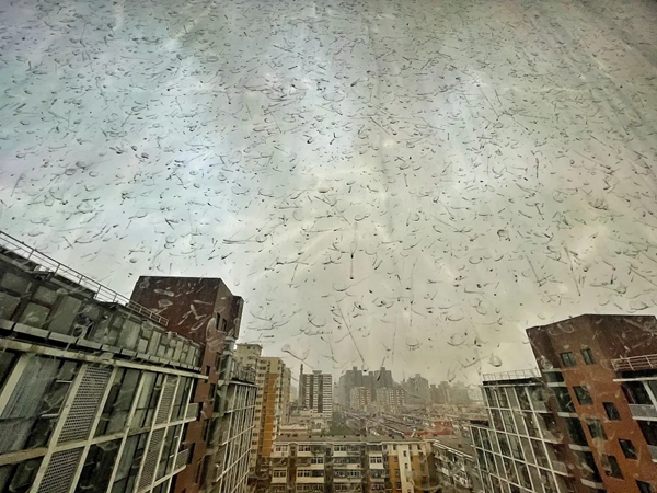 沙尘暴+雷电+泥雨！你更需要成图百灵鸟无缝焊接系统窗！