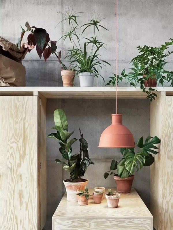如鱼得水窗帘精品：家居软装设计色彩的运用