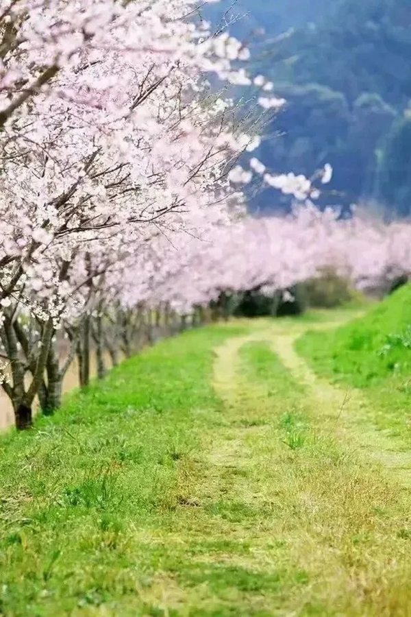 梵帝尔家居系统门窗丨蚊虫开始活跃，家里门窗这样装，远离蚊虫烦恼！