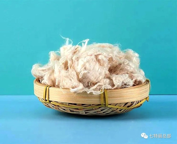 七特丽墙布春季新品C22艾草系列：抗菌防螨、驱蚊祛湿！