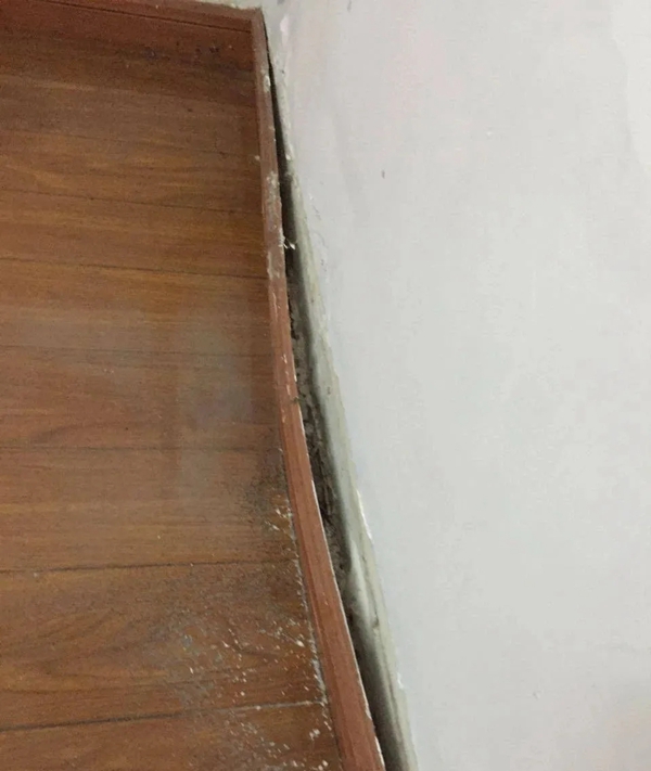 告别漏水烦恼，墅标门窗伴你走过雨季