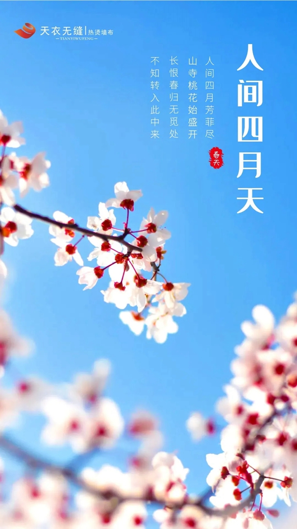 天衣无缝墙布|92平现代装修，将质感写入春日生活