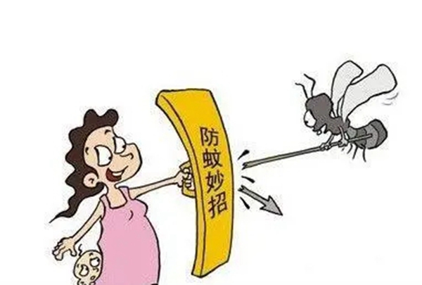 梵帝尔家居系统门窗丨蚊虫开始活跃，家里门窗这样装，远离蚊虫烦恼！