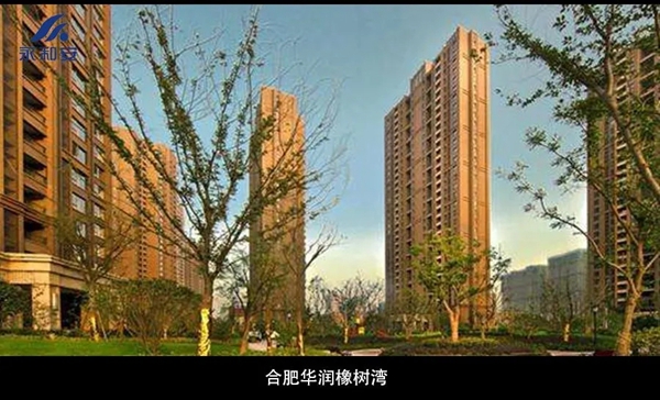 永和安荣获华润置地华东大区2021年度风雨同舟奖！